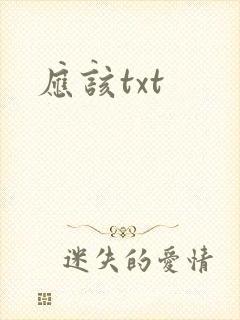 应该txt
