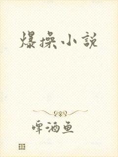 爆操小说