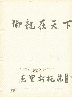 御龙在天下载