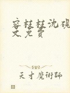 容枝枝沈砚书全文免费封面