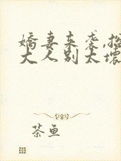 娇妻来袭,总裁大人别太坏封面