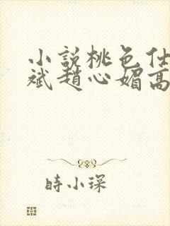 小说桃色仕途陈斌赵心媚高婉君封面