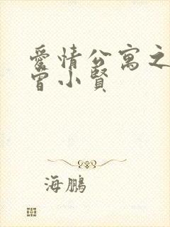 爱情公寓之极品曾小贤