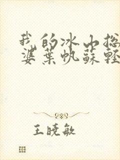 我的冰山总裁老婆叶帆苏轻雪