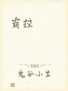 霸控