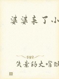 婆婆来了小说