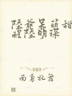 陆爷呆萌甜妻苏醒陆明琛封面
