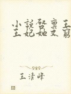 小说启禀王爷,王妃她又穷疯了免费看封面