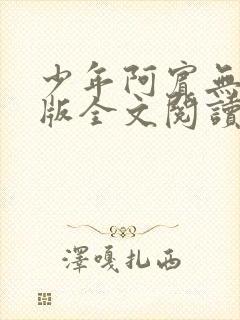 少年阿宾无删减版全文阅读