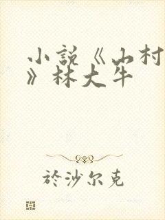 小说《山村情事》林大牛