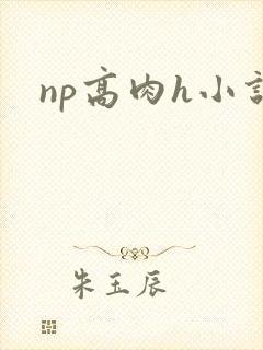 np高肉h小说