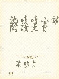 沈晴晴小说在线阅读免费