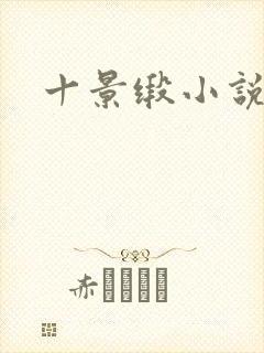 十景缎小说