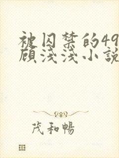 被囚禁的49天顾浅浅小说