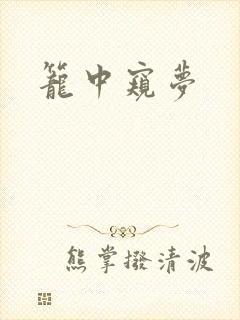 笼中窥梦