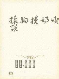 揉胸摸奶吃奶小说