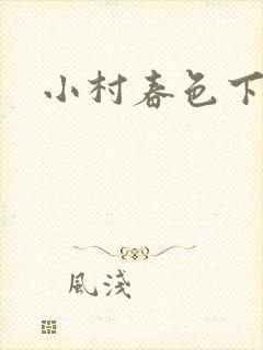 小村春色下载