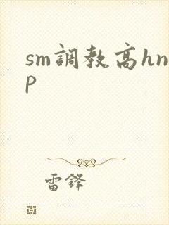sm调教高hnp