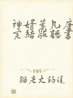神婿叶凡唐若雪完结版听书
