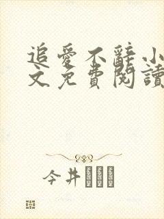 追爱不辞小说全文免费阅读