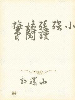 梅姨张强小城免费阅读封面