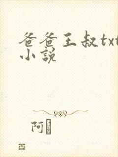 爸爸王叔txt小说