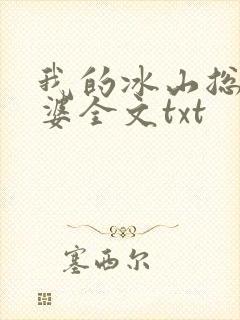 我的冰山总裁老婆全文txt