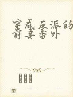 穿成反派的炮灰前妻番外
