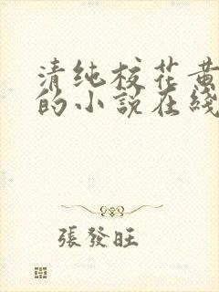 清纯校花黄小婷的小说在线阅读
