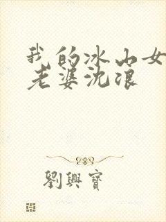 我的冰山女总裁老婆沈浪