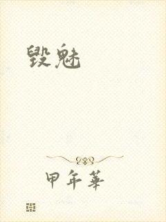毁魅