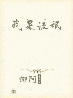 我是流氓