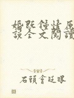 婚既钟情原著小说全文阅读