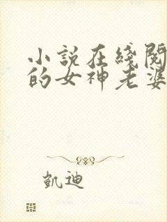 小说在线阅读我的女神老婆