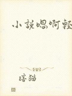 小说嗯啊轻点封面