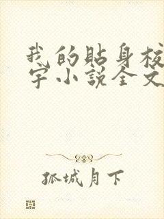 我的贴身校花唐宇小说全文