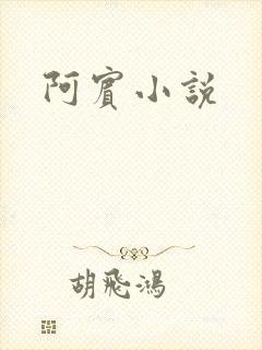 阿宾小说