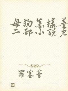母狗怎样养熟第二部小说免费阅读