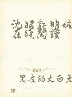 沈昭许明婉小说在线阅读