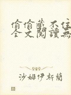 偷偷藏不住小说全文阅读无弹窗