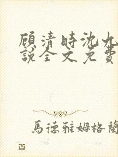 顾清时沈九笙小说全文免费阅读全文封面