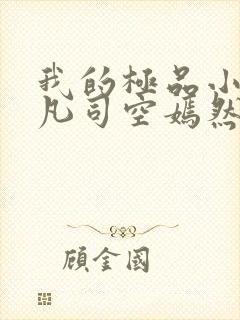 我的极品小姨叶凡司空嫣然小说