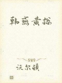 韩燕黄总