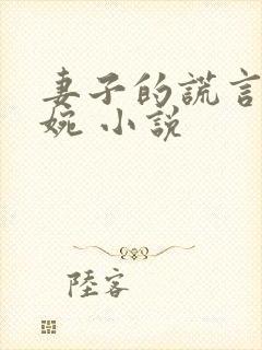 妻子的谎言 苏婉 小说