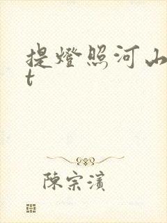 提灯照河山txt