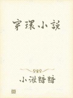 穿环小说封面