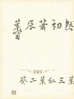 叶辰萧初然无弹窗