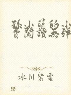 孙小萌的小说免费阅读无弹窗