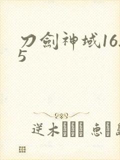 刀剑神域16.5