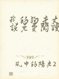 我的狗老丈夫小说免费阅读